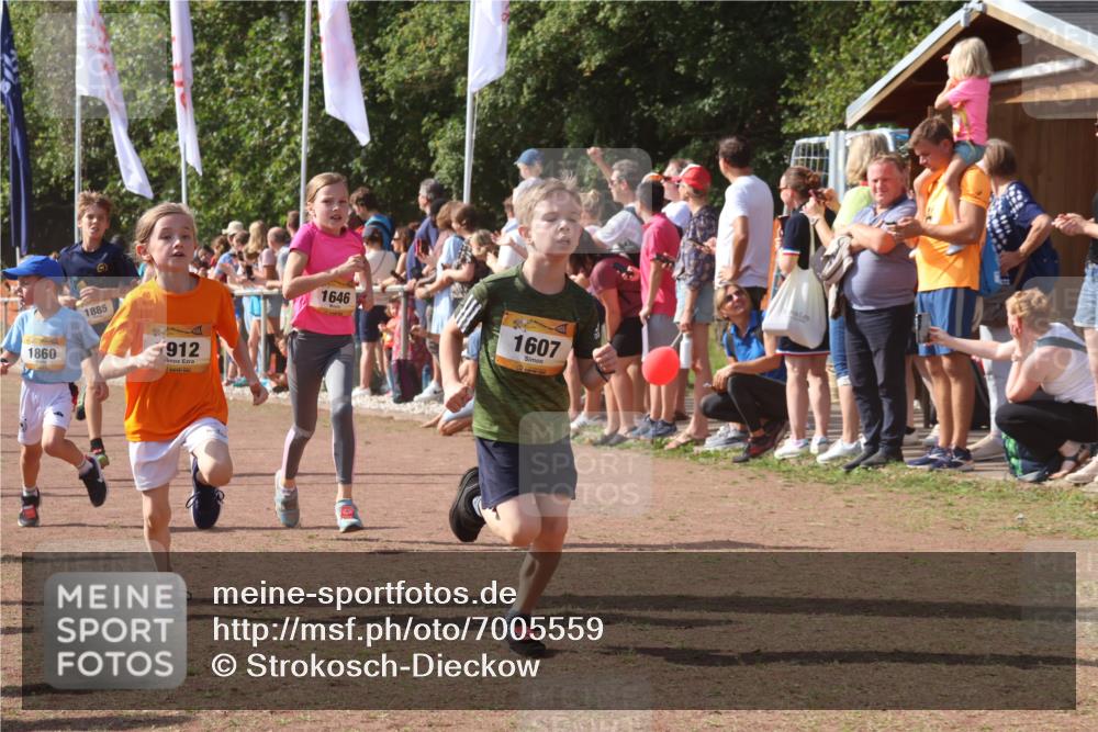 08.09.2024 - Airport Race Strokosch-Dieckow http://msf.ph/oto/7005559 08.09.2024 11:27:53 Ziel 1607, 1633, 1642, 1646, 1719, 1812, 1818, 1843, 1860, 1885, 1892, 1912, 3415, 3422, 3429, 3432 meine-sportfotos.de