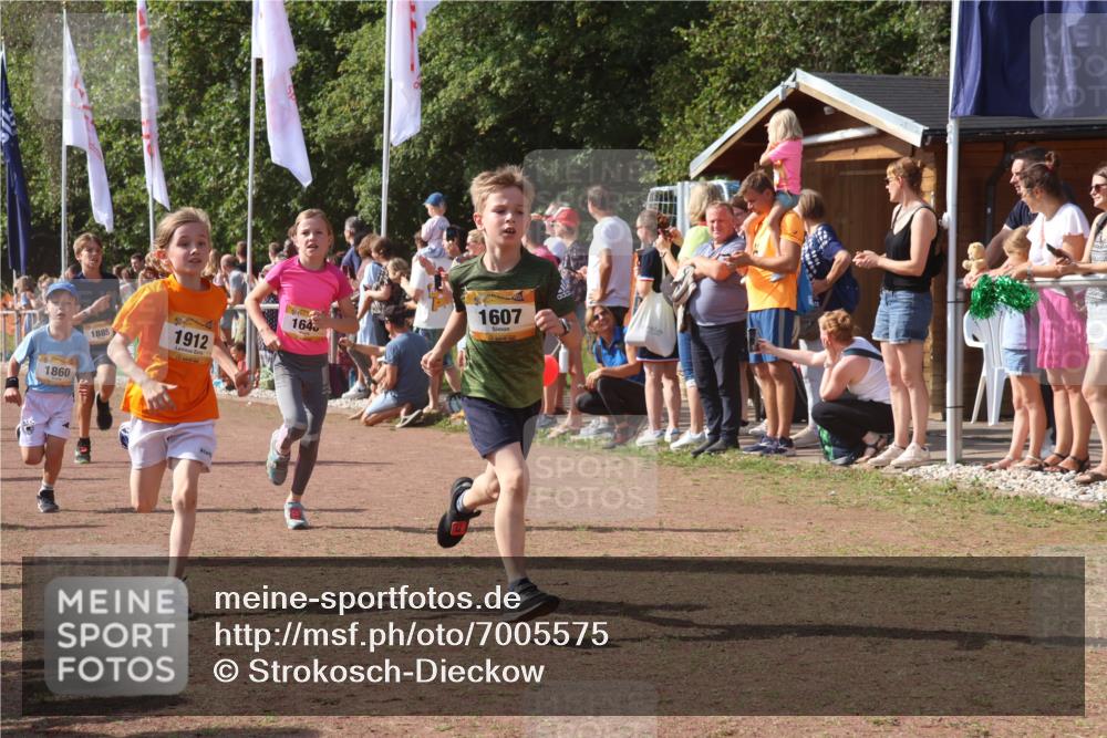 08.09.2024 - Airport Race Strokosch-Dieckow http://msf.ph/oto/7005575 08.09.2024 11:27:53 Ziel 1607, 1633, 1642, 1646, 1719, 1812, 1818, 1843, 1860, 1885, 1892, 1912, 3415, 3422, 3429, 3432 meine-sportfotos.de