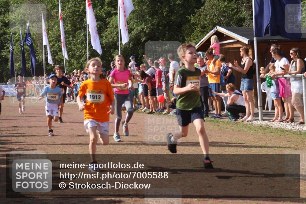 08.09.2024 - Airport Race Strokosch-Dieckow http://msf.ph/oto/7005588 08.09.2024 11:27:54 Ziel 1607, 1633, 1642, 1646, 1719, 1812, 1818, 1843, 1860, 1885, 1892, 1912, 3415, 3422, 3432 meine-sportfotos.de