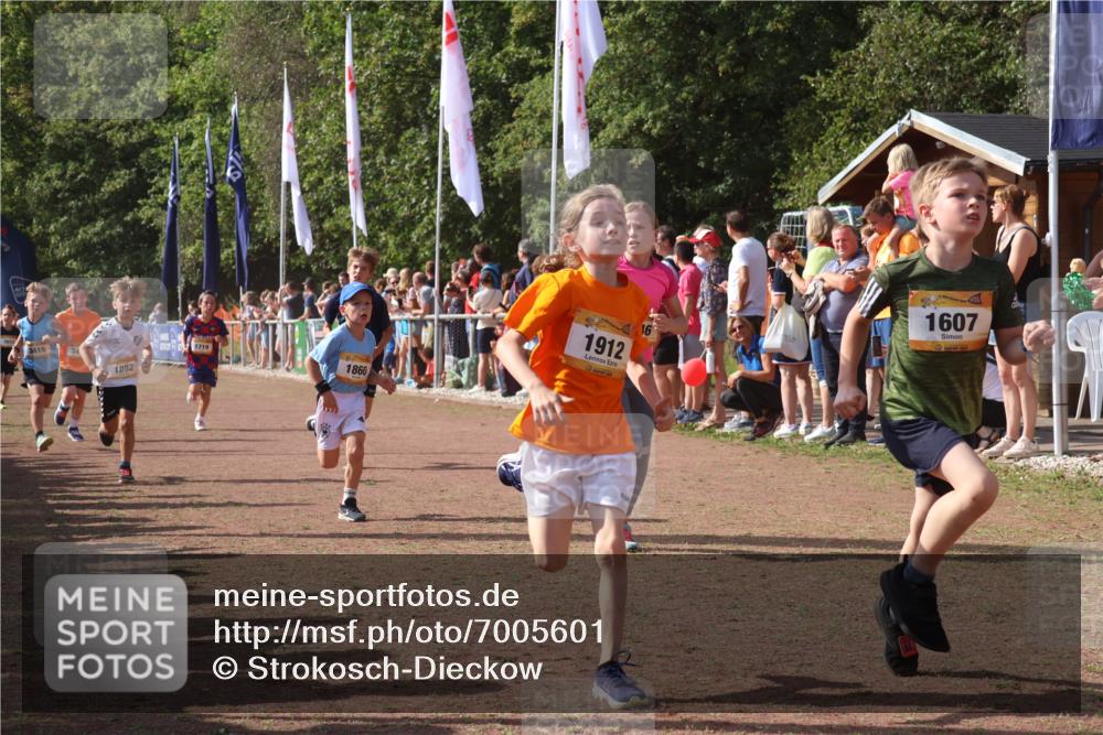 08.09.2024 - Airport Race Strokosch-Dieckow http://msf.ph/oto/7005601 08.09.2024 11:27:54 Ziel 1607, 1633, 1642, 1646, 1719, 1812, 1818, 1843, 1860, 1885, 1892, 1912, 3415, 3422, 3432 meine-sportfotos.de