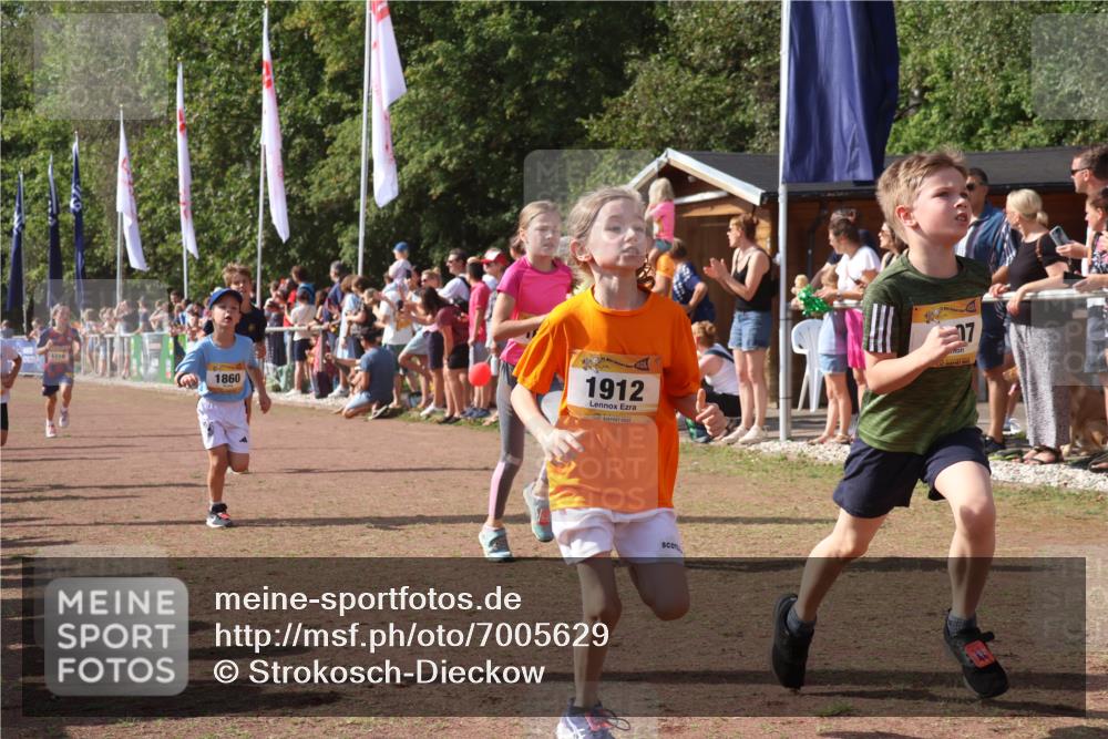 08.09.2024 - Airport Race Strokosch-Dieckow http://msf.ph/oto/7005629 08.09.2024 11:27:54 Ziel 1607, 1633, 1642, 1646, 1719, 1812, 1818, 1843, 1860, 1885, 1892, 1912, 3415, 3422, 3432 meine-sportfotos.de