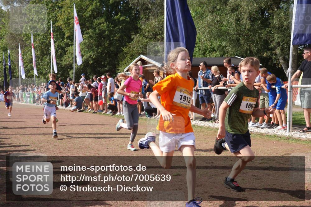 08.09.2024 - Airport Race Strokosch-Dieckow http://msf.ph/oto/7005639 08.09.2024 11:27:55 Ziel 1607, 1633, 1642, 1646, 1719, 1755, 1770, 1818, 1843, 1860, 1885, 1892, 1912, 3415, 3422, 3432 meine-sportfotos.de