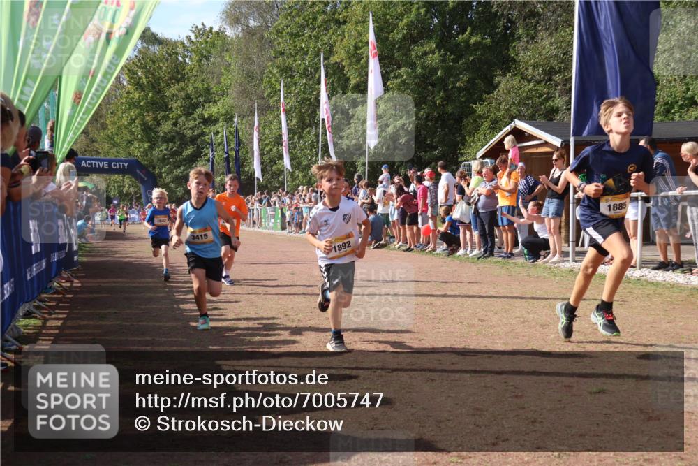08.09.2024 - Airport Race Strokosch-Dieckow http://msf.ph/oto/7005747 08.09.2024 11:27:57 Ziel 1633, 1642, 1646, 1719, 1755, 1770, 1818, 1843, 1860, 1885, 1892, 1929, 3415, 3422, 3432 meine-sportfotos.de