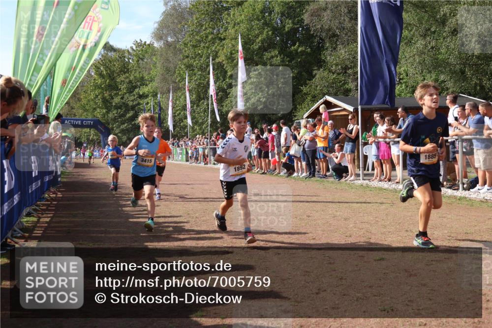 08.09.2024 - Airport Race Strokosch-Dieckow http://msf.ph/oto/7005759 08.09.2024 11:27:57 Ziel 1633, 1642, 1646, 1719, 1755, 1770, 1818, 1843, 1860, 1885, 1892, 1929, 3415, 3422, 3432 meine-sportfotos.de