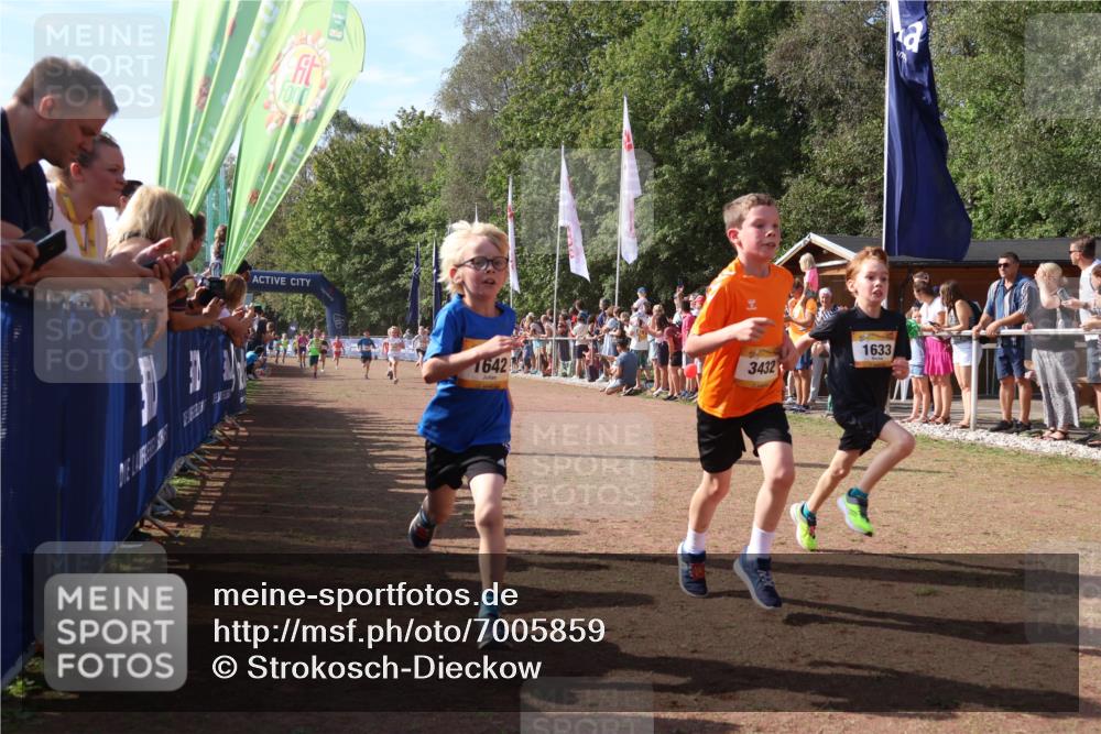 08.09.2024 - Airport Race Strokosch-Dieckow http://msf.ph/oto/7005859 08.09.2024 11:27:59 Ziel 1633, 1642, 1719, 1755, 1770, 1818, 1843, 1860, 1885, 1892, 1929, 3415, 3422, 3432 meine-sportfotos.de