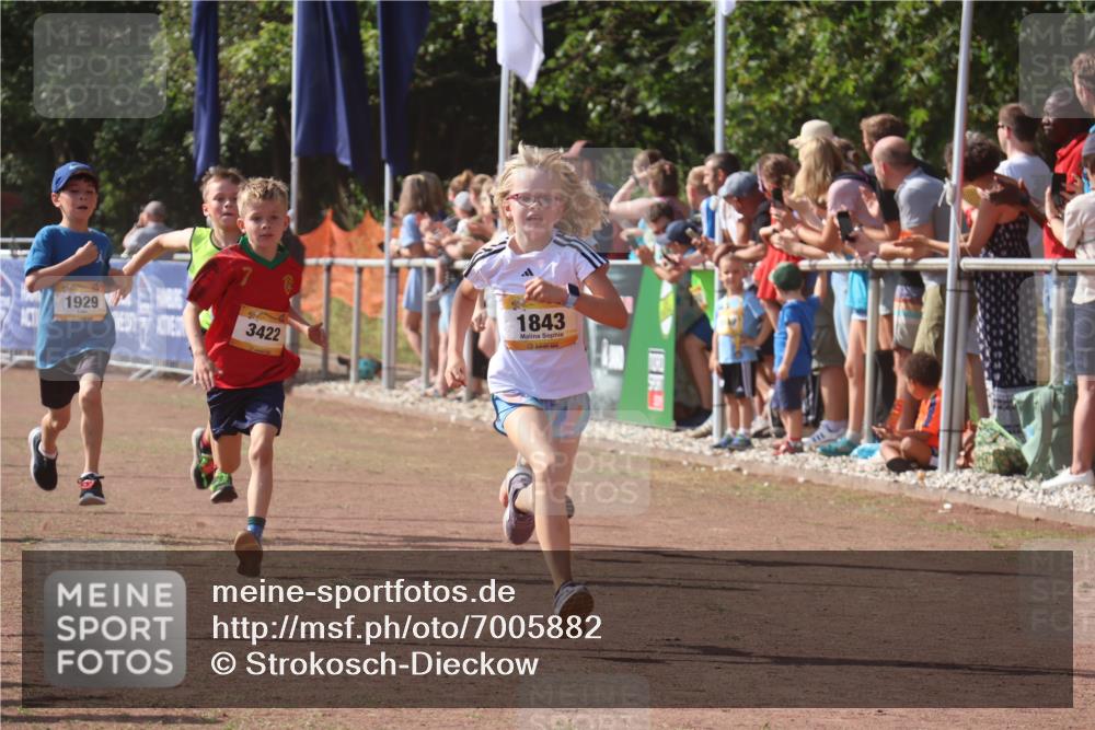 08.09.2024 - Airport Race Strokosch-Dieckow http://msf.ph/oto/7005882 08.09.2024 11:28:01 Ziel 1626, 1642, 1755, 1763, 1770, 1818, 1843, 1892, 1895, 1911, 1929, 3422, 3432 meine-sportfotos.de