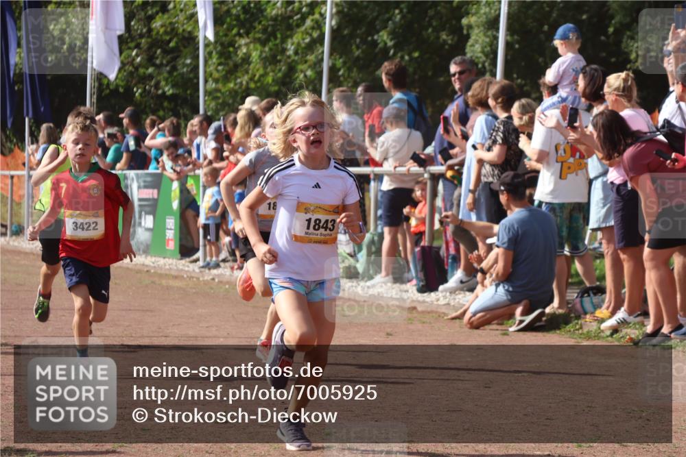 08.09.2024 - Airport Race Strokosch-Dieckow http://msf.ph/oto/7005925 08.09.2024 11:28:02 Ziel 1626, 1726, 1738, 1755, 1763, 1768, 1770, 1818, 1843, 1895, 1911, 1929, 3422, 3432 meine-sportfotos.de