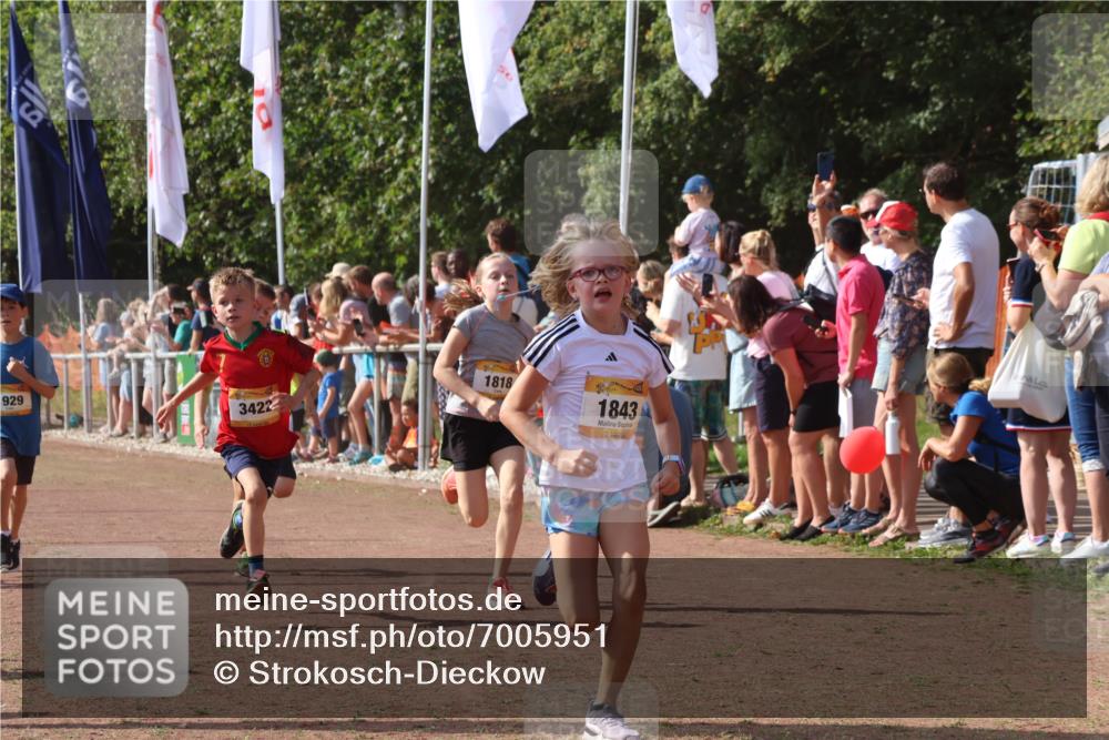 08.09.2024 - Airport Race Strokosch-Dieckow http://msf.ph/oto/7005951 08.09.2024 11:28:02 Ziel 1626, 1726, 1738, 1755, 1763, 1768, 1770, 1818, 1843, 1895, 1911, 1929, 3422, 3432 meine-sportfotos.de