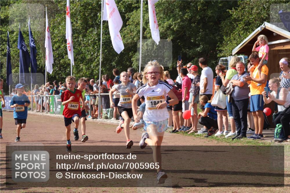 08.09.2024 - Airport Race Strokosch-Dieckow http://msf.ph/oto/7005965 08.09.2024 11:28:02 Ziel 1626, 1726, 1738, 1755, 1763, 1768, 1770, 1818, 1843, 1895, 1911, 1929, 3422, 3432 meine-sportfotos.de