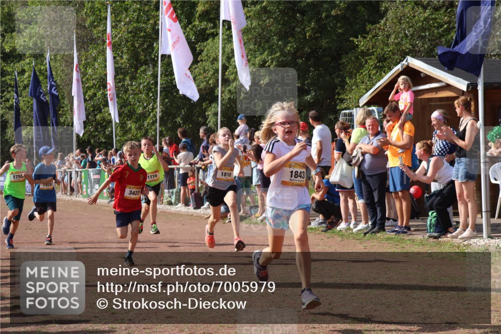 08.09.2024 - Airport Race Strokosch-Dieckow http://msf.ph/oto/7005979 08.09.2024 11:28:03 Ziel 1622, 1626, 1653, 1726, 1738, 1755, 1763, 1768, 1770, 1809, 1818, 1821, 1843, 1895, 1911, 1929, 3422, 3432 meine-sportfotos.de