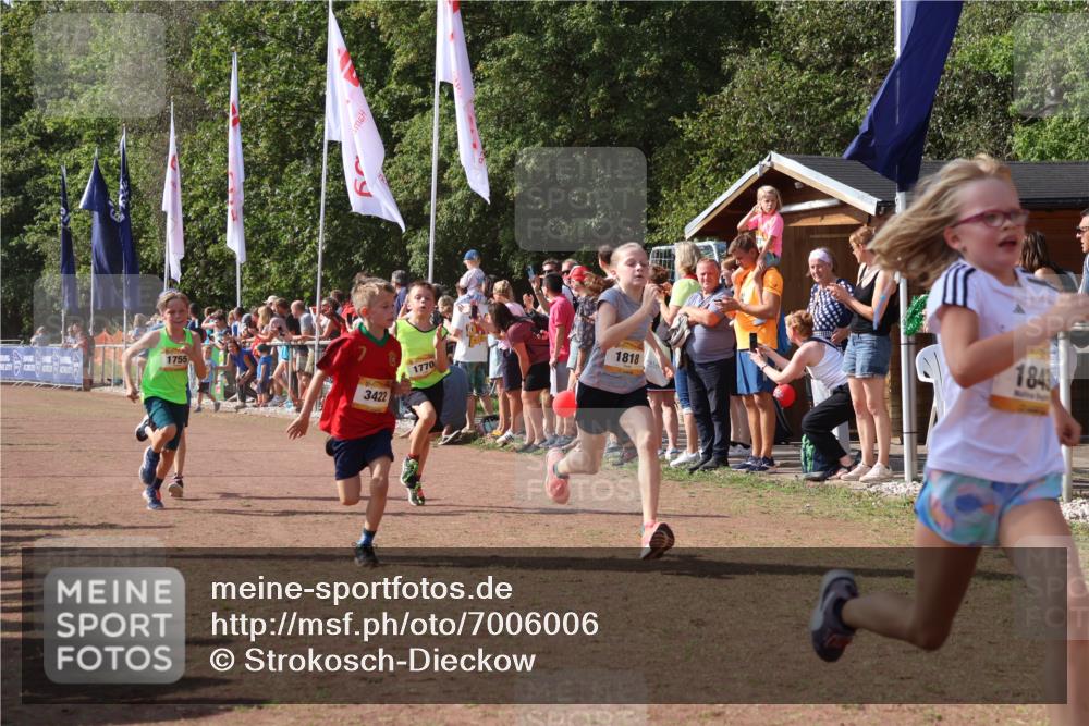 08.09.2024 - Airport Race Strokosch-Dieckow http://msf.ph/oto/7006006 08.09.2024 11:28:03 Ziel 1622, 1626, 1653, 1726, 1738, 1755, 1763, 1768, 1770, 1809, 1818, 1821, 1843, 1895, 1911, 1929, 3422, 3432 meine-sportfotos.de