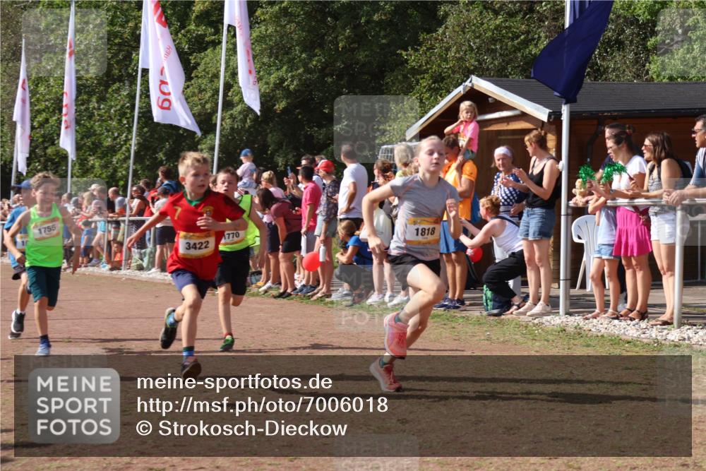 08.09.2024 - Airport Race Strokosch-Dieckow http://msf.ph/oto/7006018 08.09.2024 11:28:04 Ziel 1622, 1626, 1653, 1726, 1738, 1755, 1763, 1768, 1770, 1809, 1818, 1821, 1843, 1895, 1911, 1929, 3422 meine-sportfotos.de