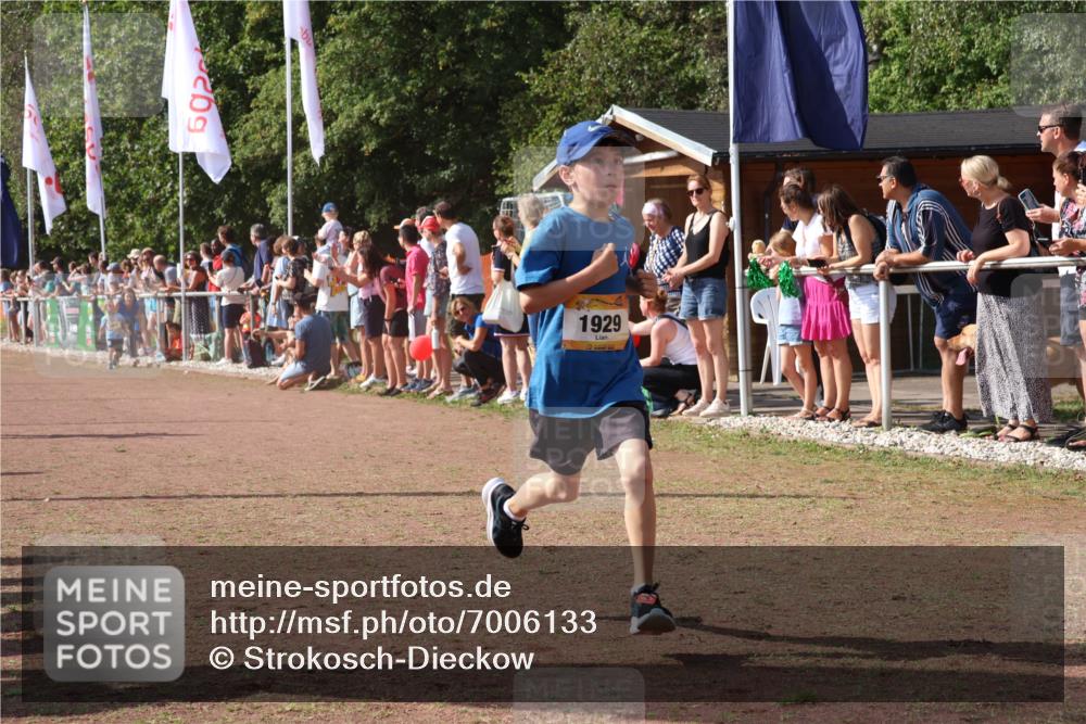 08.09.2024 - Airport Race Strokosch-Dieckow http://msf.ph/oto/7006133 08.09.2024 11:28:06 Ziel 1622, 1626, 1653, 1726, 1738, 1755, 1763, 1768, 1770, 1809, 1821, 1895, 1911, 1929 meine-sportfotos.de