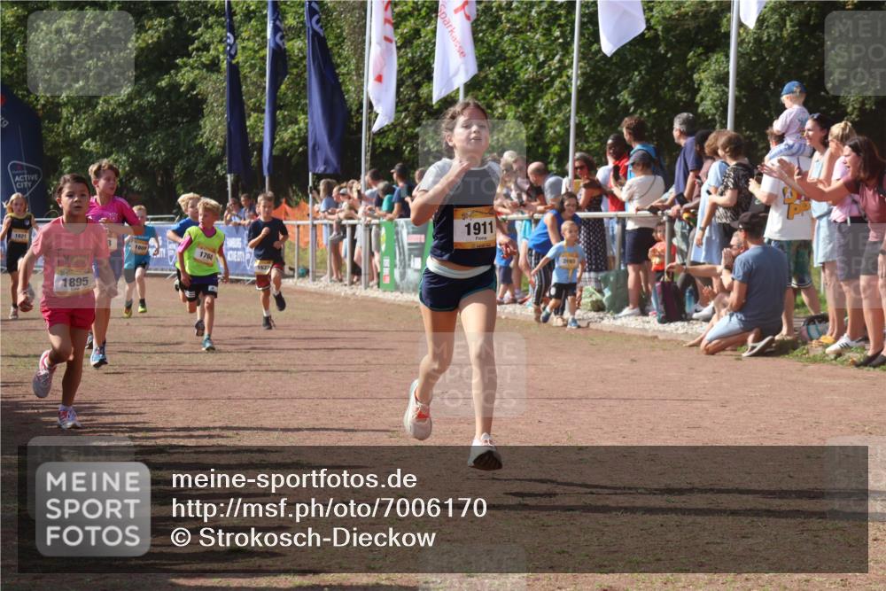 08.09.2024 - Airport Race Strokosch-Dieckow http://msf.ph/oto/7006170 08.09.2024 11:28:07 Ziel 1622, 1626, 1653, 1706, 1709, 1726, 1738, 1755, 1763, 1768, 1770, 1809, 1821, 1895, 1911, 1929 meine-sportfotos.de