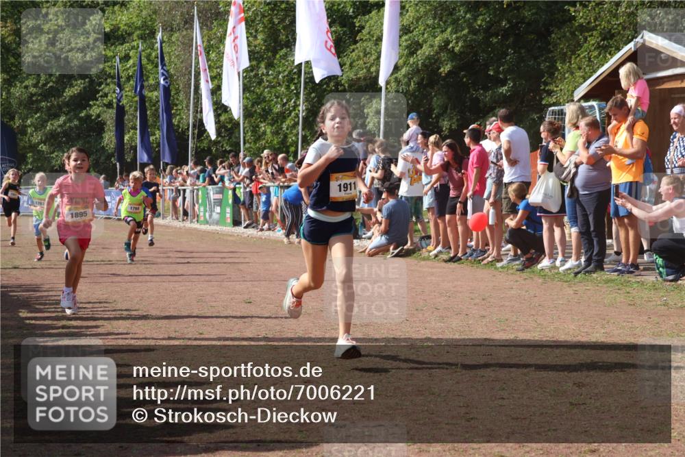 08.09.2024 - Airport Race Strokosch-Dieckow http://msf.ph/oto/7006221 08.09.2024 11:28:08 Ziel 1622, 1626, 1653, 1706, 1709, 1726, 1738, 1763, 1768, 1809, 1821, 1895, 1911, 1929 meine-sportfotos.de