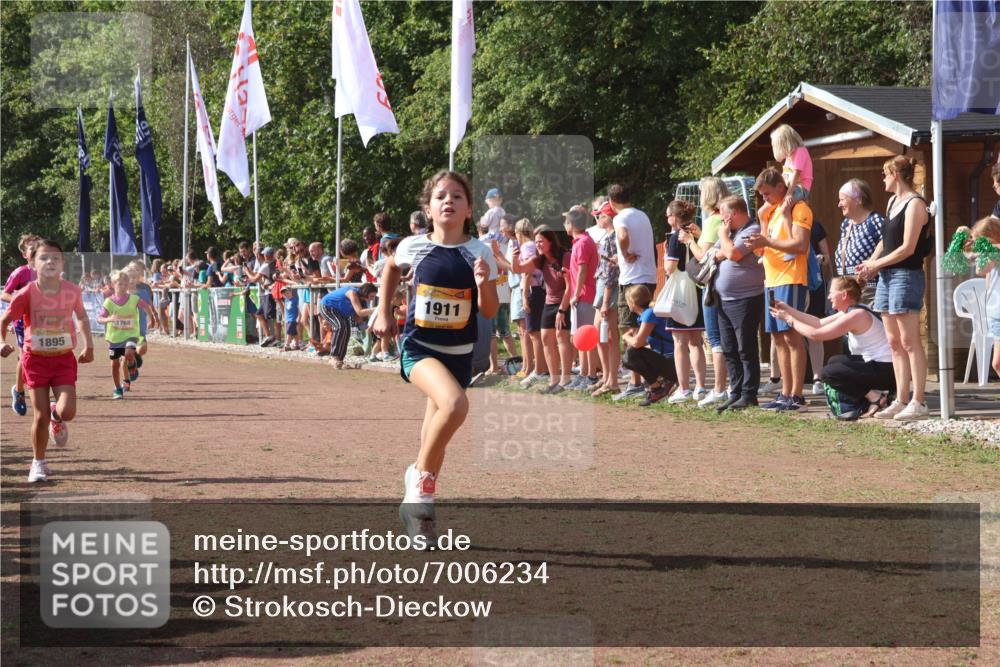 08.09.2024 - Airport Race Strokosch-Dieckow http://msf.ph/oto/7006234 08.09.2024 11:28:08 Ziel 1622, 1626, 1653, 1706, 1709, 1726, 1738, 1763, 1768, 1809, 1821, 1895, 1911, 1929 meine-sportfotos.de