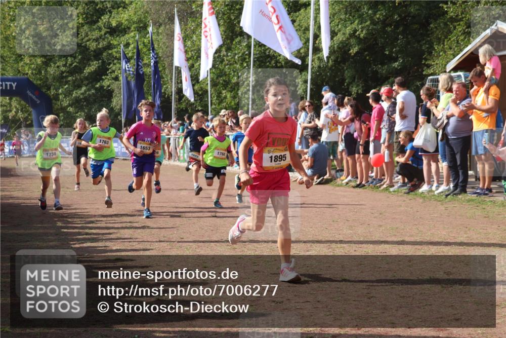 08.09.2024 - Airport Race Strokosch-Dieckow http://msf.ph/oto/7006277 08.09.2024 11:28:10 Ziel 1622, 1626, 1653, 1706, 1709, 1726, 1738, 1763, 1768, 1809, 1821, 1895, 1911, 3435 meine-sportfotos.de