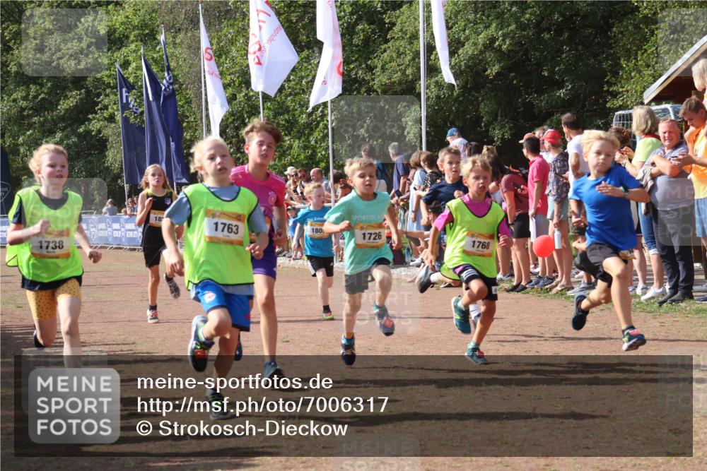 08.09.2024 - Airport Race Strokosch-Dieckow http://msf.ph/oto/7006317 08.09.2024 11:28:11 Ziel 1622, 1626, 1653, 1706, 1709, 1726, 1738, 1763, 1768, 1809, 1821, 1895, 1911, 3435 meine-sportfotos.de