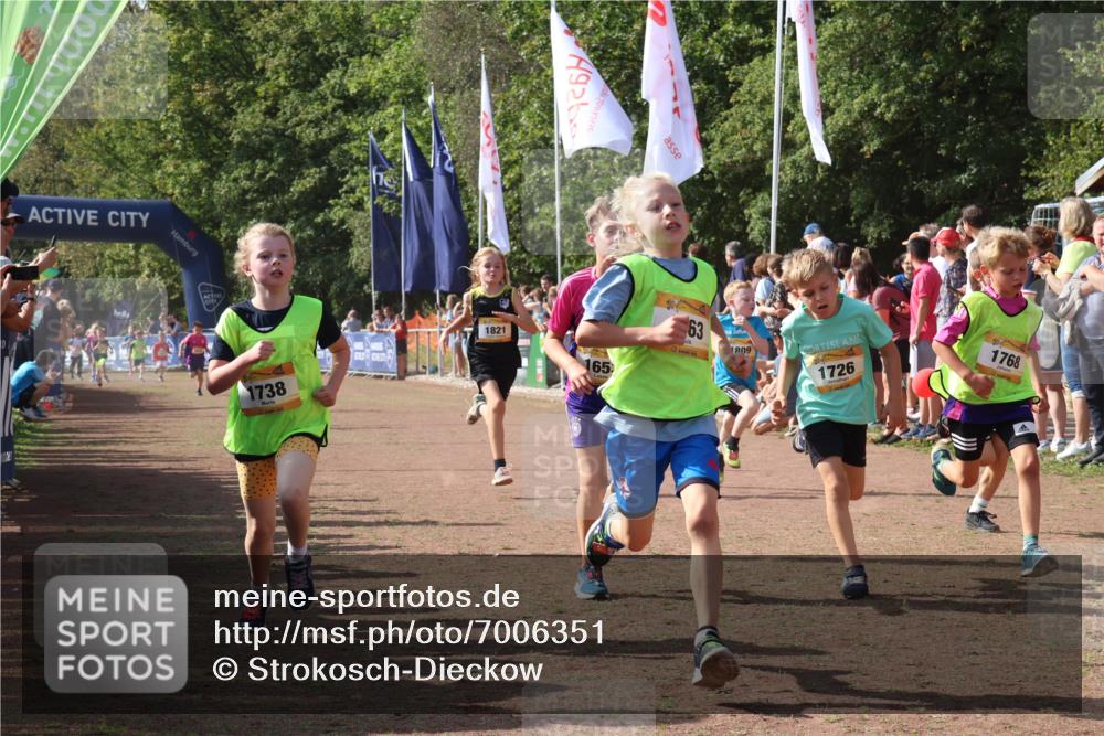 08.09.2024 - Airport Race Strokosch-Dieckow http://msf.ph/oto/7006351 08.09.2024 11:28:11 Ziel 1622, 1626, 1653, 1706, 1709, 1726, 1738, 1763, 1768, 1809, 1821, 1895, 1911, 3435 meine-sportfotos.de