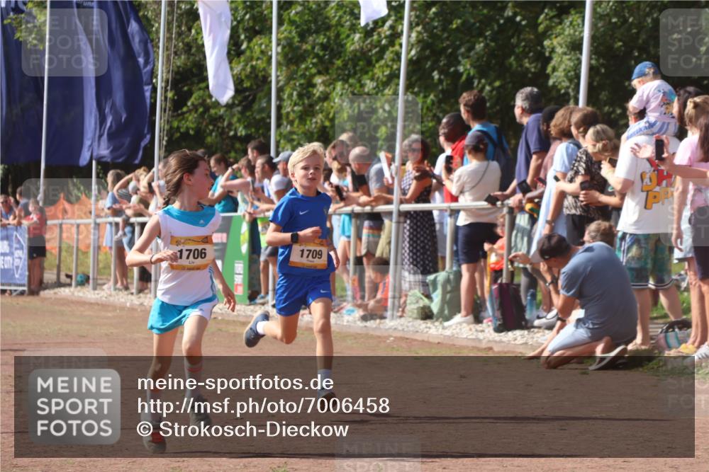 08.09.2024 - Airport Race Strokosch-Dieckow http://msf.ph/oto/7006458 08.09.2024 11:28:14 Ziel 1602, 1606, 1609, 1622, 1653, 1706, 1709, 1726, 1738, 1768, 1809, 1821, 1827, 1881, 3435 meine-sportfotos.de