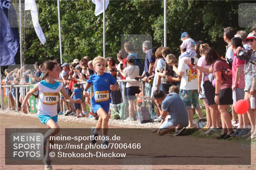 08.09.2024 - Airport Race Strokosch-Dieckow http://msf.ph/oto/7006466 08.09.2024 11:28:15 Ziel 1602, 1606, 1609, 1622, 1653, 1706, 1709, 1762, 1809, 1821, 1827, 1881, 1890, 3435 meine-sportfotos.de