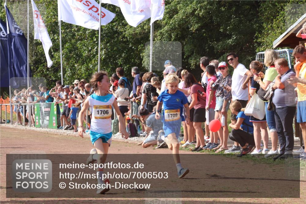 08.09.2024 - Airport Race Strokosch-Dieckow http://msf.ph/oto/7006503 08.09.2024 11:28:15 Ziel 1602, 1606, 1609, 1622, 1653, 1706, 1709, 1762, 1809, 1821, 1827, 1881, 1890, 3435 meine-sportfotos.de