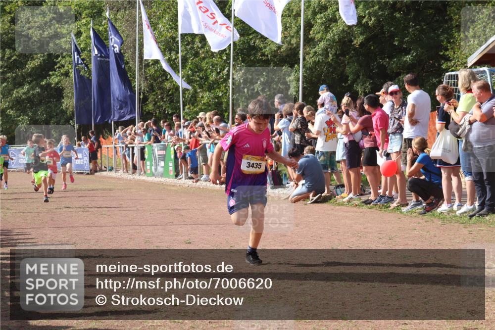 08.09.2024 - Airport Race Strokosch-Dieckow http://msf.ph/oto/7006620 08.09.2024 11:28:18 Ziel 1602, 1606, 1609, 1618, 1698, 1706, 1709, 1742, 1762, 1819, 1827, 1830, 1881, 1890, 3408, 3435 meine-sportfotos.de