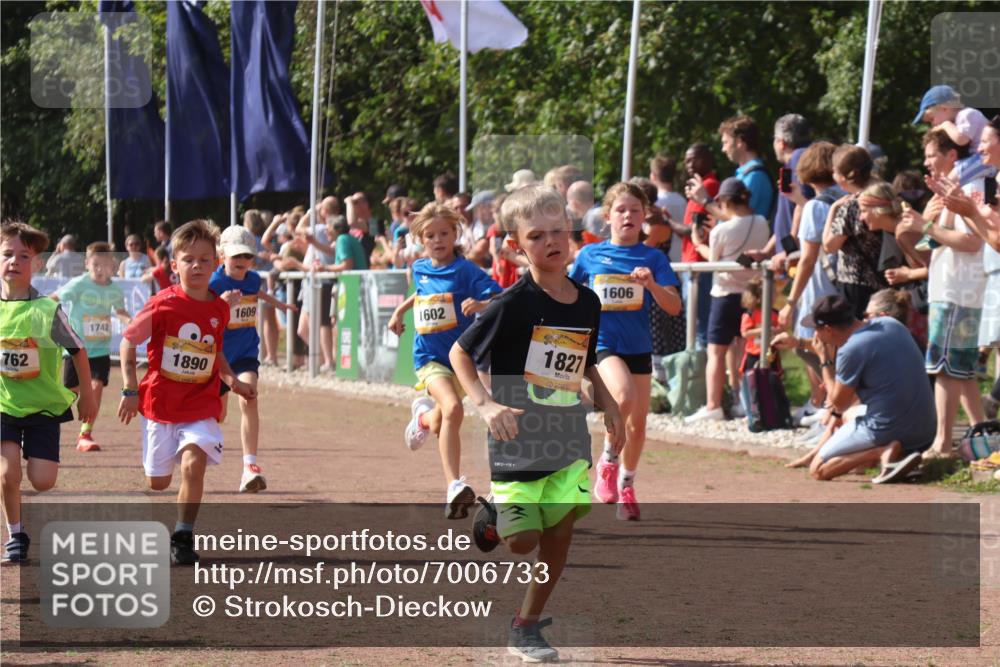 08.09.2024 - Airport Race Strokosch-Dieckow http://msf.ph/oto/7006733 08.09.2024 11:28:21 Ziel 1602, 1606, 1609, 1618, 1632, 1698, 1742, 1762, 1819, 1827, 1830, 1881, 1890, 3408, 3435 meine-sportfotos.de