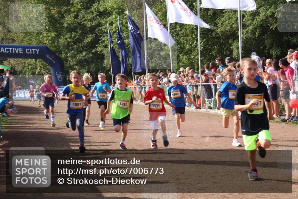 08.09.2024 - Airport Race Strokosch-Dieckow http://msf.ph/oto/7006773 08.09.2024 11:28:22 Ziel 1602, 1606, 1609, 1618, 1632, 1698, 1742, 1762, 1819, 1827, 1830, 1881, 1890, 3408, 3435 meine-sportfotos.de