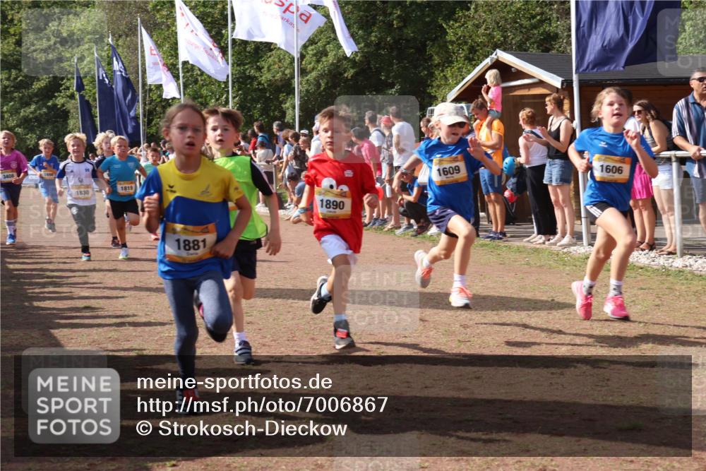 08.09.2024 - Airport Race Strokosch-Dieckow http://msf.ph/oto/7006867 08.09.2024 11:28:24 Ziel 1602, 1606, 1609, 1618, 1632, 1698, 1742, 1762, 1819, 1827, 1830, 1881, 1890, 3408 meine-sportfotos.de