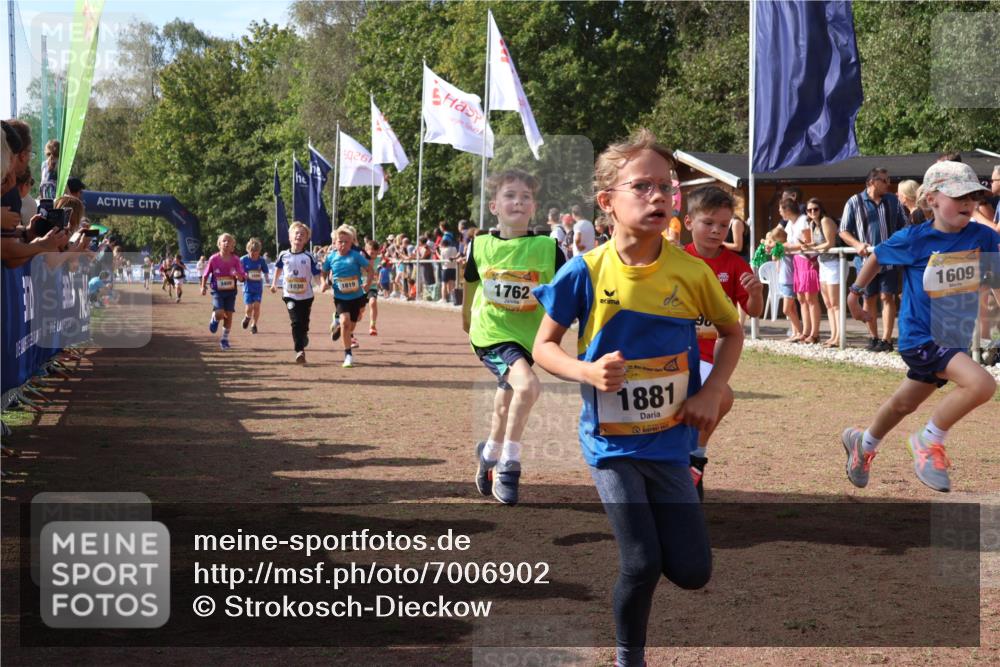 08.09.2024 - Airport Race Strokosch-Dieckow http://msf.ph/oto/7006902 08.09.2024 11:28:24 Ziel 1602, 1606, 1609, 1618, 1632, 1698, 1742, 1762, 1819, 1827, 1830, 1881, 1890, 3408 meine-sportfotos.de