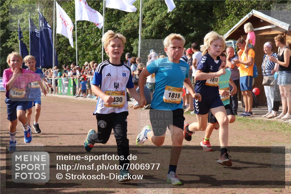 08.09.2024 - Airport Race Strokosch-Dieckow http://msf.ph/oto/7006977 08.09.2024 11:28:26 Ziel 1606, 1618, 1620, 1632, 1698, 1716, 1742, 1762, 1819, 1830, 1881, 1890, 3408 meine-sportfotos.de