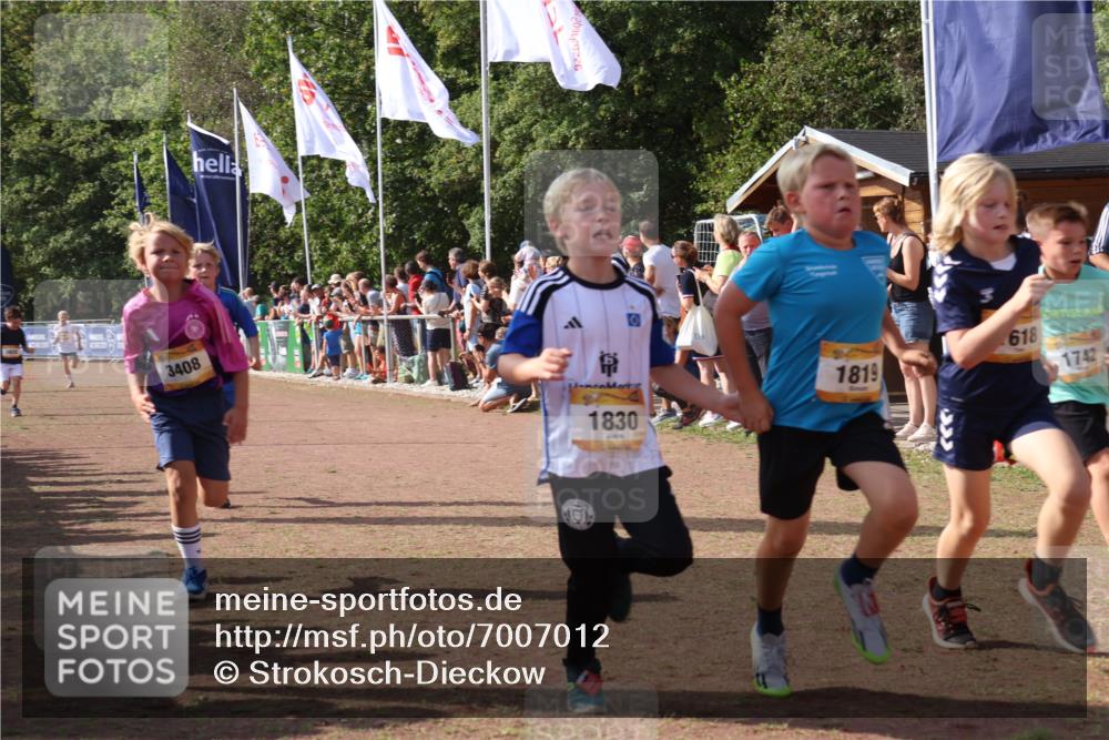 08.09.2024 - Airport Race Strokosch-Dieckow http://msf.ph/oto/7007012 08.09.2024 11:28:26 Ziel 1606, 1618, 1620, 1632, 1698, 1716, 1742, 1762, 1819, 1830, 1881, 1890, 3408 meine-sportfotos.de