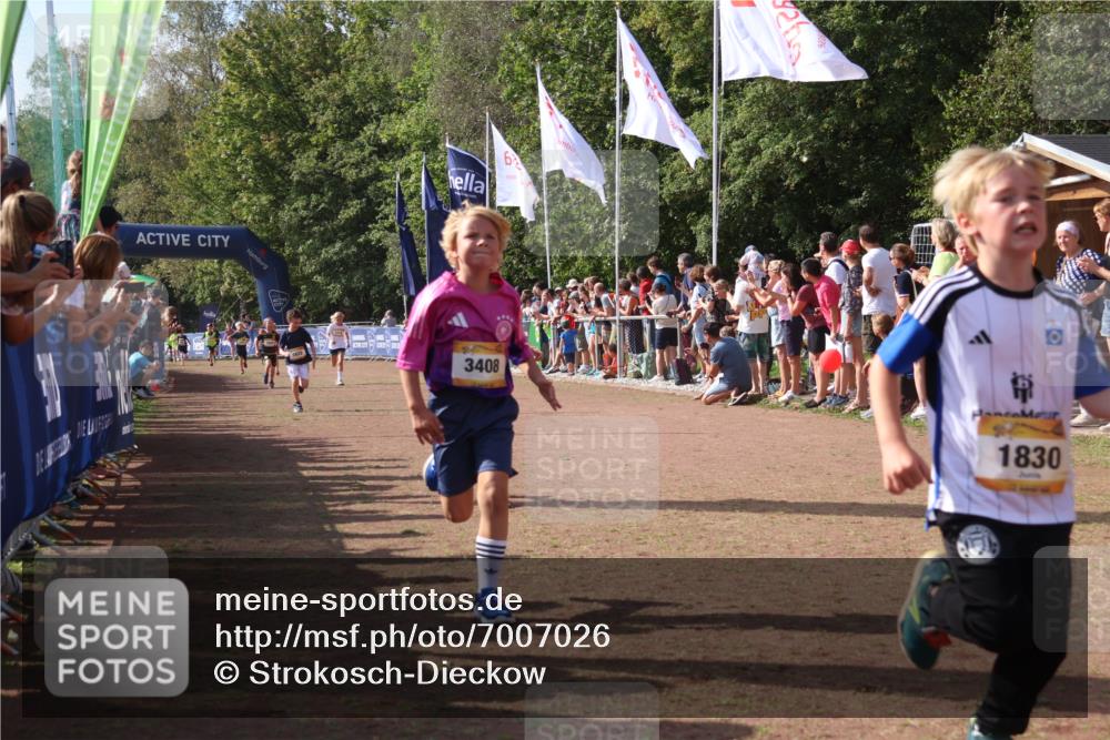 08.09.2024 - Airport Race Strokosch-Dieckow http://msf.ph/oto/7007026 08.09.2024 11:28:27 Ziel 1618, 1620, 1632, 1698, 1716, 1742, 1762, 1819, 1830, 1890, 3408 meine-sportfotos.de