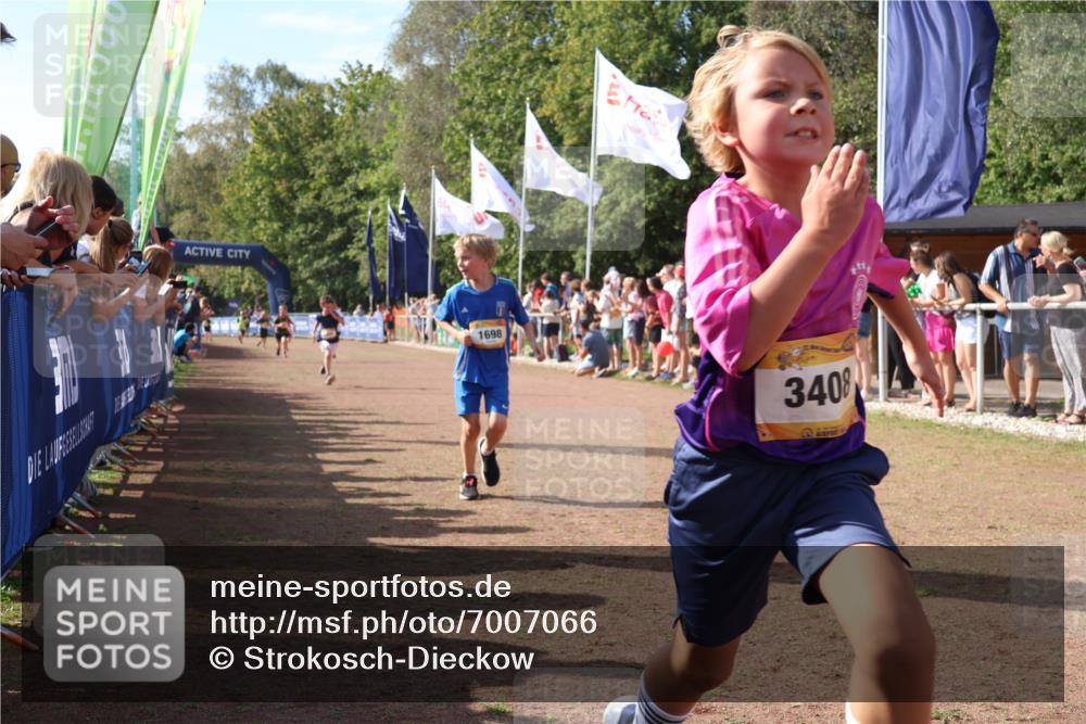 08.09.2024 - Airport Race Strokosch-Dieckow http://msf.ph/oto/7007066 08.09.2024 11:28:28 Ziel 1618, 1620, 1632, 1698, 1716, 1742, 1819, 1830, 3408 meine-sportfotos.de