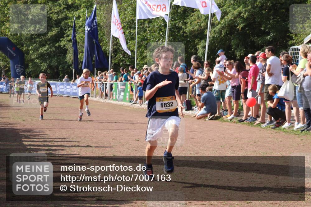 08.09.2024 - Airport Race Strokosch-Dieckow http://msf.ph/oto/7007163 08.09.2024 11:28:30 Ziel 1620, 1632, 1698, 1716, 1739, 1790, 1918, 3419 meine-sportfotos.de