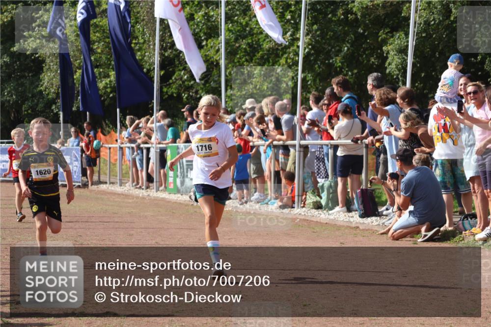 08.09.2024 - Airport Race Strokosch-Dieckow http://msf.ph/oto/7007206 08.09.2024 11:28:31 Ziel 1620, 1632, 1716, 1739, 1790, 1918, 3419, 3426 meine-sportfotos.de