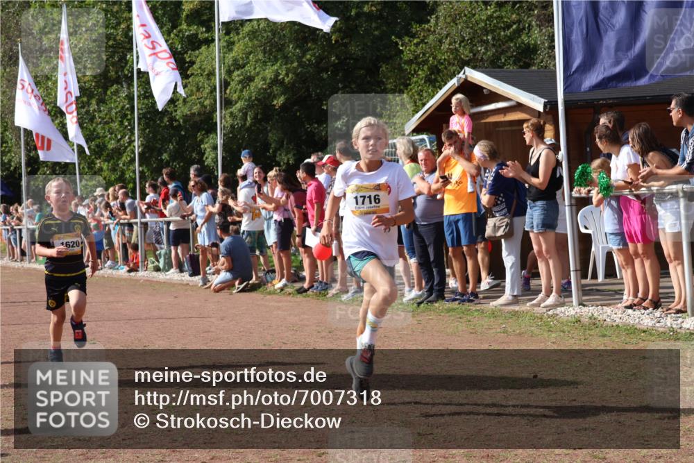 08.09.2024 - Airport Race Strokosch-Dieckow http://msf.ph/oto/7007318 08.09.2024 11:28:33 Ziel 1620, 1716, 1739, 1779, 1790, 1858, 1918, 3419, 3426 meine-sportfotos.de