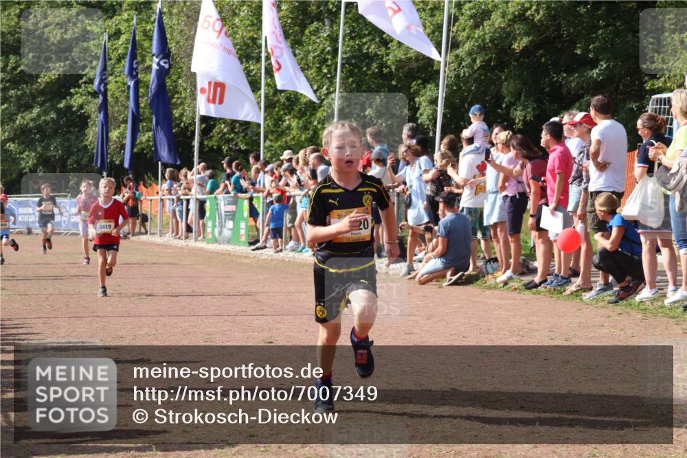 08.09.2024 - Airport Race Strokosch-Dieckow http://msf.ph/oto/7007349 08.09.2024 11:28:34 Ziel 1620, 1716, 1739, 1760, 1771, 1779, 1790, 1858, 1918, 3419, 3426 meine-sportfotos.de