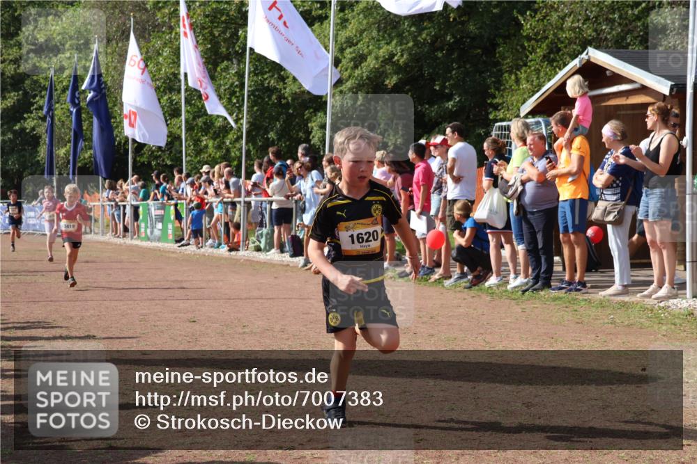 08.09.2024 - Airport Race Strokosch-Dieckow http://msf.ph/oto/7007383 08.09.2024 11:28:35 Ziel 1604, 1620, 1716, 1739, 1760, 1771, 1779, 1790, 1858, 1918, 3419, 3426 meine-sportfotos.de