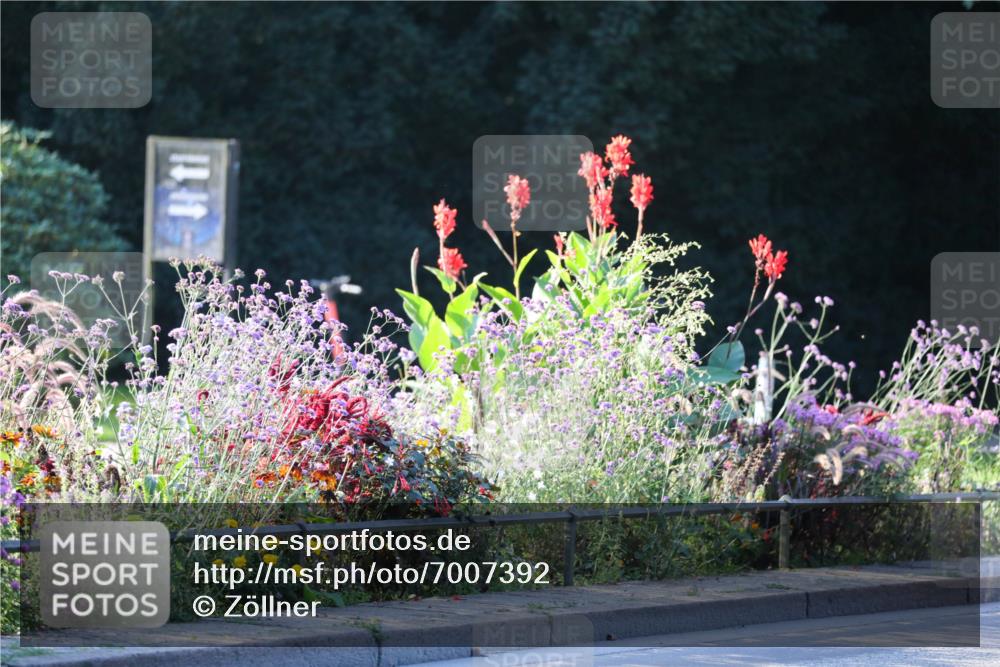 08.09.2024 - Stadtparktriathlon Zöllner http://msf.ph/oto/7007392 08.09.2024 08:50:56 Radfahren 29, 47, 48, 50 meine-sportfotos.de