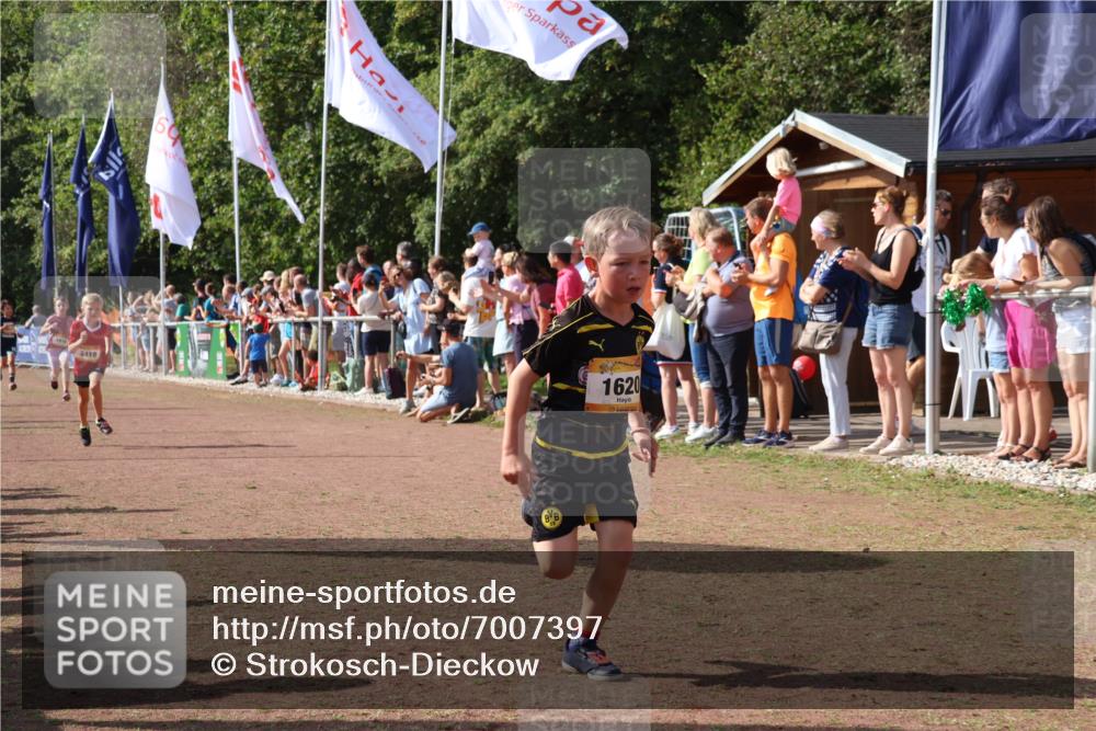 08.09.2024 - Airport Race Strokosch-Dieckow http://msf.ph/oto/7007397 08.09.2024 11:28:35 Ziel 1604, 1620, 1716, 1739, 1760, 1771, 1779, 1790, 1858, 1918, 3419, 3426 meine-sportfotos.de