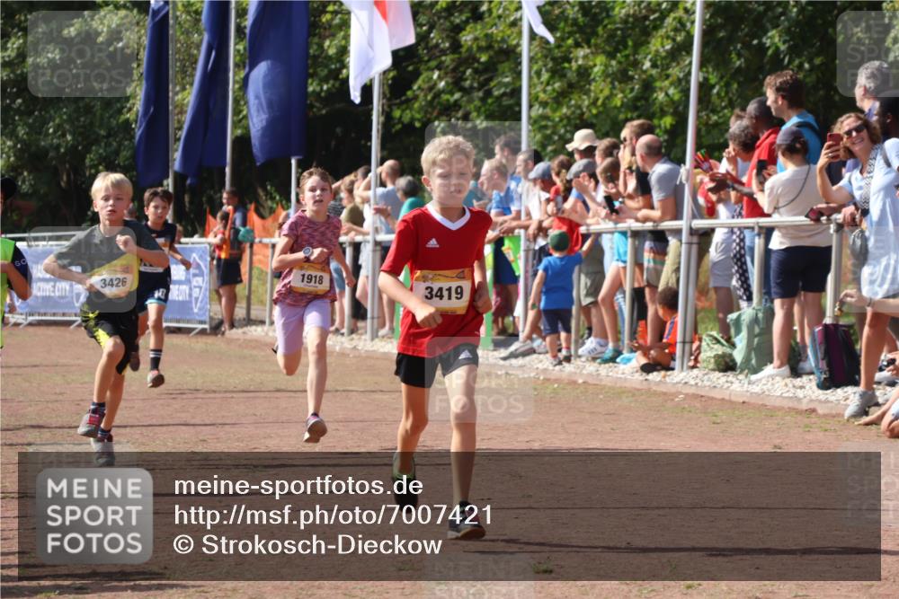 08.09.2024 - Airport Race Strokosch-Dieckow http://msf.ph/oto/7007421 08.09.2024 11:28:36 Ziel 1604, 1620, 1716, 1739, 1760, 1771, 1779, 1790, 1858, 1918, 3419, 3426 meine-sportfotos.de