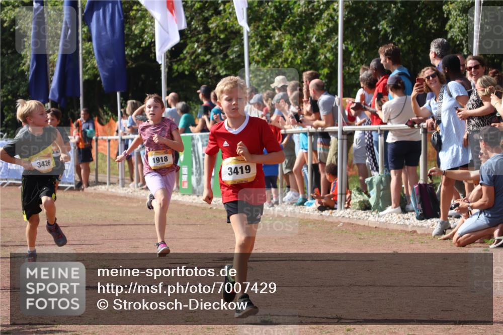 08.09.2024 - Airport Race Strokosch-Dieckow http://msf.ph/oto/7007429 08.09.2024 11:28:36 Ziel 1604, 1620, 1716, 1739, 1760, 1771, 1779, 1790, 1858, 1918, 3419, 3426 meine-sportfotos.de