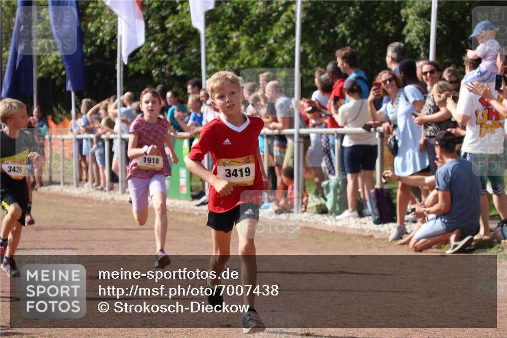08.09.2024 - Airport Race Strokosch-Dieckow http://msf.ph/oto/7007438 08.09.2024 11:28:37 Ziel 1604, 1620, 1716, 1731, 1739, 1760, 1771, 1779, 1790, 1858, 1918, 3402, 3419, 3426 meine-sportfotos.de