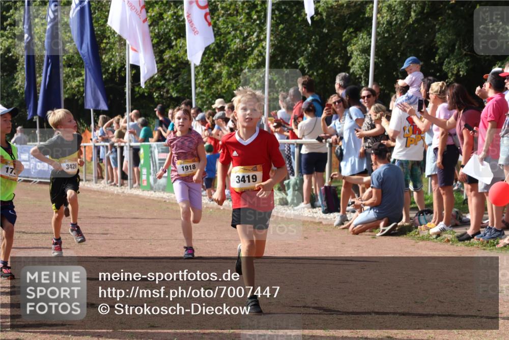 08.09.2024 - Airport Race Strokosch-Dieckow http://msf.ph/oto/7007447 08.09.2024 11:28:37 Ziel 1604, 1620, 1716, 1731, 1739, 1760, 1771, 1779, 1790, 1858, 1918, 3402, 3419, 3426 meine-sportfotos.de