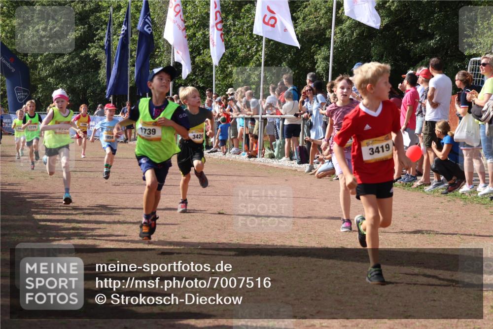 08.09.2024 - Airport Race Strokosch-Dieckow http://msf.ph/oto/7007516 08.09.2024 11:28:38 Ziel 1604, 1731, 1739, 1760, 1771, 1779, 1790, 1858, 1918, 3402, 3419, 3426 meine-sportfotos.de