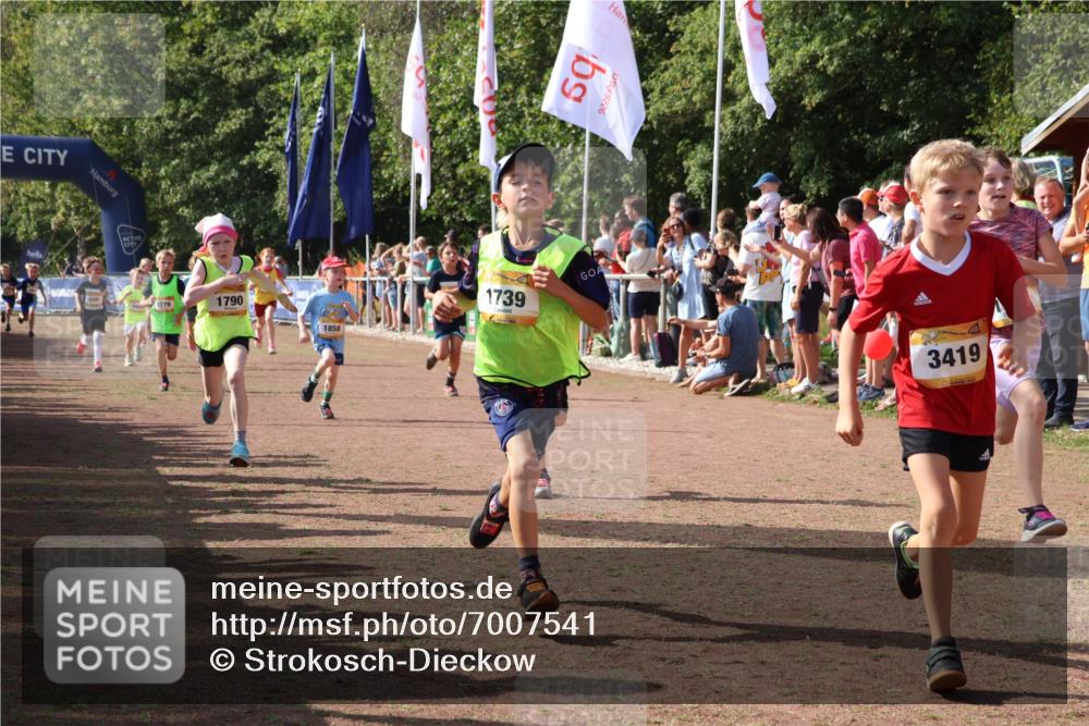 08.09.2024 - Airport Race Strokosch-Dieckow http://msf.ph/oto/7007541 08.09.2024 11:28:39 Ziel 1604, 1731, 1739, 1760, 1771, 1779, 1790, 1858, 1918, 1933, 3402, 3404, 3419, 3426 meine-sportfotos.de