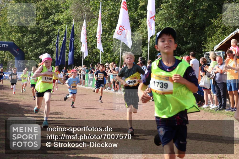 08.09.2024 - Airport Race Strokosch-Dieckow http://msf.ph/oto/7007570 08.09.2024 11:28:39 Ziel 1604, 1731, 1739, 1760, 1771, 1779, 1790, 1858, 1918, 1933, 3402, 3404, 3419, 3426 meine-sportfotos.de