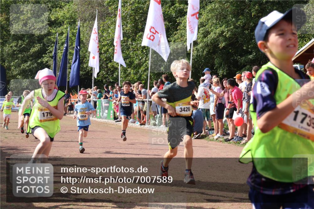 08.09.2024 - Airport Race Strokosch-Dieckow http://msf.ph/oto/7007589 08.09.2024 11:28:40 Ziel 1604, 1731, 1739, 1760, 1771, 1779, 1790, 1817, 1858, 1918, 1933, 3402, 3404, 3419, 3426 meine-sportfotos.de